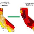 💢Los Angeles(로스 앤젤레스)가 沙漠化(사막화) 되고 있다.💢 이미지