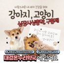 서문동물약국 이미지