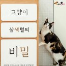 비밀