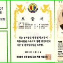 영광팩 이미지