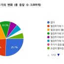 릴리안 이미지