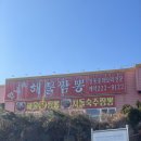 월영동222 | [마산월영동맛집] 내돈내산 만날재해물짬뽕짜장 솔직후기