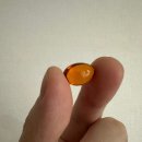 라이프트리 이미지