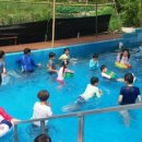 해성태권도 이미지