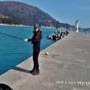 방파제낚시 이미지