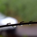 바른선한의원 이미지