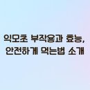 익모초 이미지