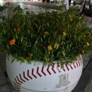 인생막창(무실점) | 수원KT위즈파크 두산 vs KT 직관 후기