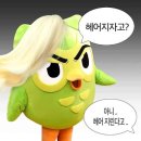 원패밀리짐 | 듀오링고 슈퍼 패밀리 일본어 1년 내돈내산 후기