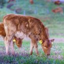 병건농장 이미지