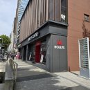 할리스커피강남대로논현 | 내돈내산 강남구 논현동 논현역 차 맛집 할리스커피 강남대로논현점 레몬생강차 꿀모과차 가격 후기