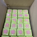 대한 검도회 박연정 검도관 이미지