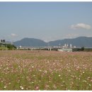 구리시민공원 매점 이미지