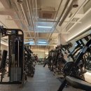 라임헬스 앤 피티 이미지