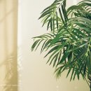 오후커피 - 양주시 천보산로 91 | 오후커피