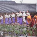 고양들소리 이미지