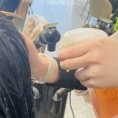 장미미용실 | [대구 서구 미용실] 내당동미용실 장미미용실 모발클리닉 후기