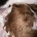 노라 노래연습장 이미지