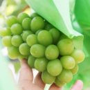 훈민농장 이미지