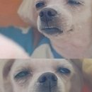 디온리뷰티