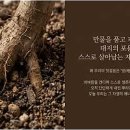 기후미식(Climate Gastronomy) 토요일 10강 - 내 영혼을 채우는 비움 식탁 이미지
