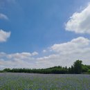 태산목장 이미지