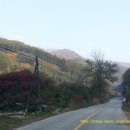 왕소나무집 이미지