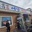 소문난대가어탕밀면 | 경주 외동 맛집 소문난 대가어탕 밀면 어탕국수 밀면 한 번에 즐기는 보양 한 끼