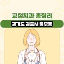 경기도 김포시 풍무동 교정치과 총정리