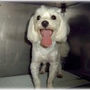 선일세탁소 이미지