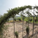 뜨락떡갈비 이미지