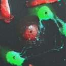 ㈜미코바이오 이미지