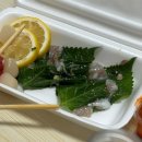 중문동-14 | ep3. 나의 세 번째 제주 여행기(with. 제주 동백수목원/ 산방산/ 사계 해변/ 두쫀쿠/ 조개구이/ 소품샵)