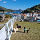 영운스테이오션뷰펜션 이미지