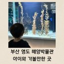 부산 영도 해양박물관 아이와 가볼만한곳