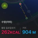도강