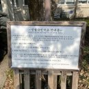 대론목장 | [2022.02.14] 제주도 보름살기 11일차-2 | 명월국민학교