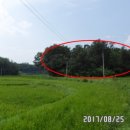 여주-1133 이미지