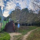 평전(여) 이미지