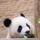 원주쇼핑 이미지