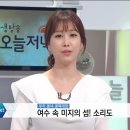 16년 8월 18일 MBC 생방송 오늘저녁 방송내용 - 여수속 미지의 섬 소리도 (해녀민텔) 이미지