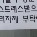 이팔청춘 이미지