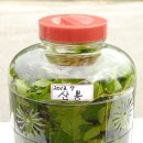 명품효소