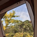 14-C | [공지] [평택] 내리캠핑장 C-14 사이트 이용 후기(명당, 예약방법, 시설, 주차) with 코베아네스트w