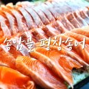 평창송어회 | 양평두물머리맛집 싱싱함이 남다른 송어회 송암골 평창송어