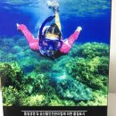 개이득뽑기방 이미지