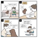 새롬중학교 | [유아임용] 26 세종(평가원) 2차 후기