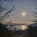 평인일주로가로수 네이버블로그