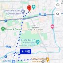 씨유 은행광장 | 몽골여행] 1일차 몽골 어린이날 나 혼자 울란바토르 여행 (몽골국립놀이공원/칭기스칸광장/블랙버거팩토리)