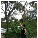 동막식당 이미지